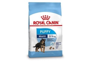 royal canin shn maxi puppy