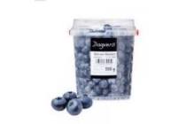 blauwe bessen