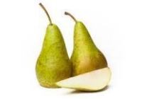 conference peren