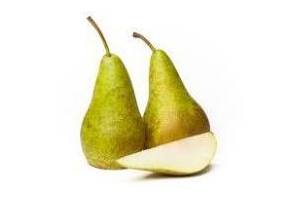 conference peren