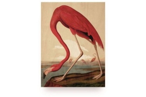 wanddeco flamingo