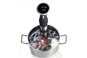 catertech sous vide stick