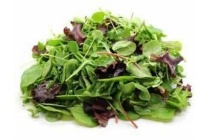 mesclun sla