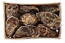 barbecue oesters xxl