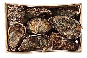 barbecue oesters xxl