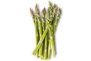 aspergetips