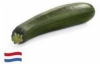 hollandse courgette
