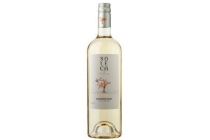 soleca sauvignon blanc