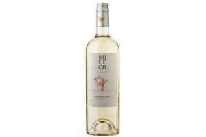 soleca sauvignon blanc