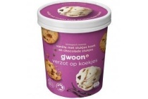 g woon roomijs