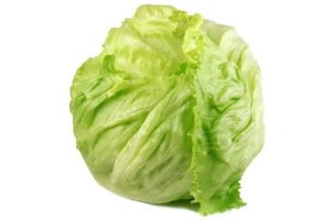 ijsbergsla