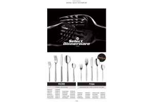 select dinnerware bestekserie 7266