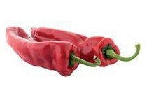 hollandse puntpaprika s