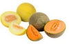 plus meloen galia of cantaloupe