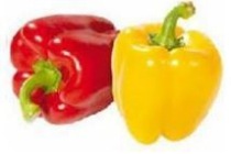 paprika duo