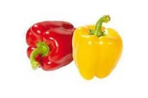 paprika duo