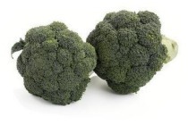hollandse broccoli