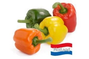 hollandse paprika