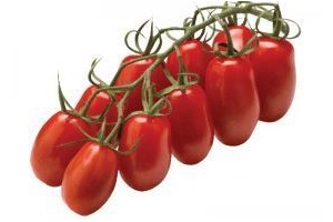 san marzano tomaten