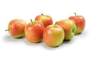 nieuwe oogst hollandse decorf appelen