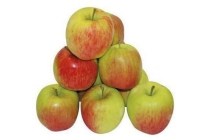 hollandse delbar appels