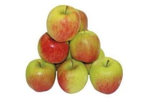 hollandse delbar appels