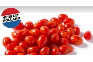hollandse smaaktomaatjes