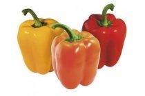 paprika groen oranje geel of rood