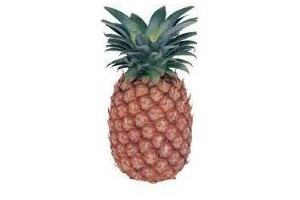 ananas