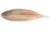 sliptong