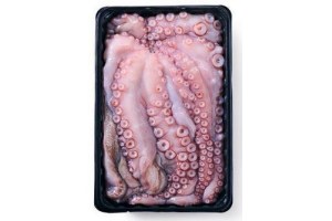 octopus