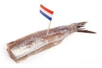 hollandse nieuwe haring met uitjes