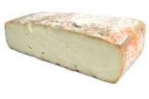 taleggio