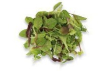 mesclun gewassen