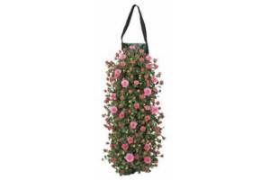 chrysant wandhanger