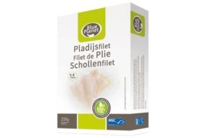 scholfilet