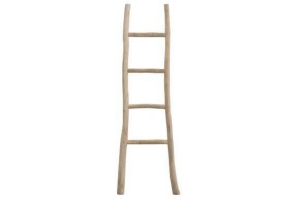 ladder roel