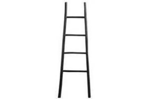 ladder roel