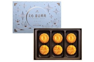 custard duet mooncake