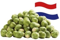 spruiten