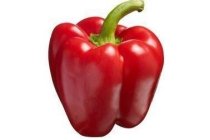rode paprika