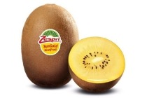 zespri kiwi sungold