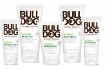 bulldog