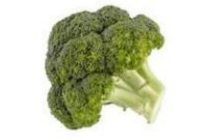 hollandse broccoli