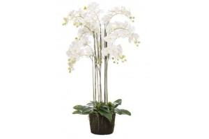 kunststof phalaenopsis orchidee