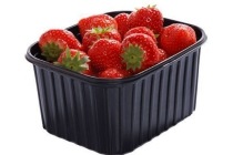 hollandse aardbeien