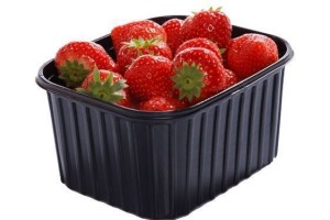 hollandse aardbeien