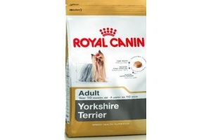 royal canin yorkshire