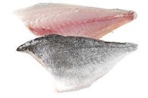 dorade royalfilet
