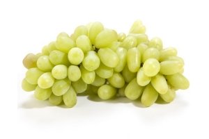 pitloze witte bedrijven